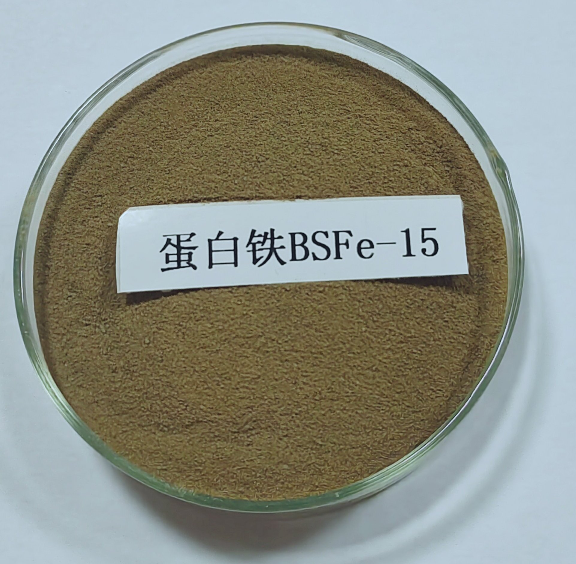 蛋白铁BSFe-15_20230811104335_1_proc.jpg