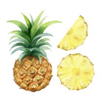 发酵菠萝渣